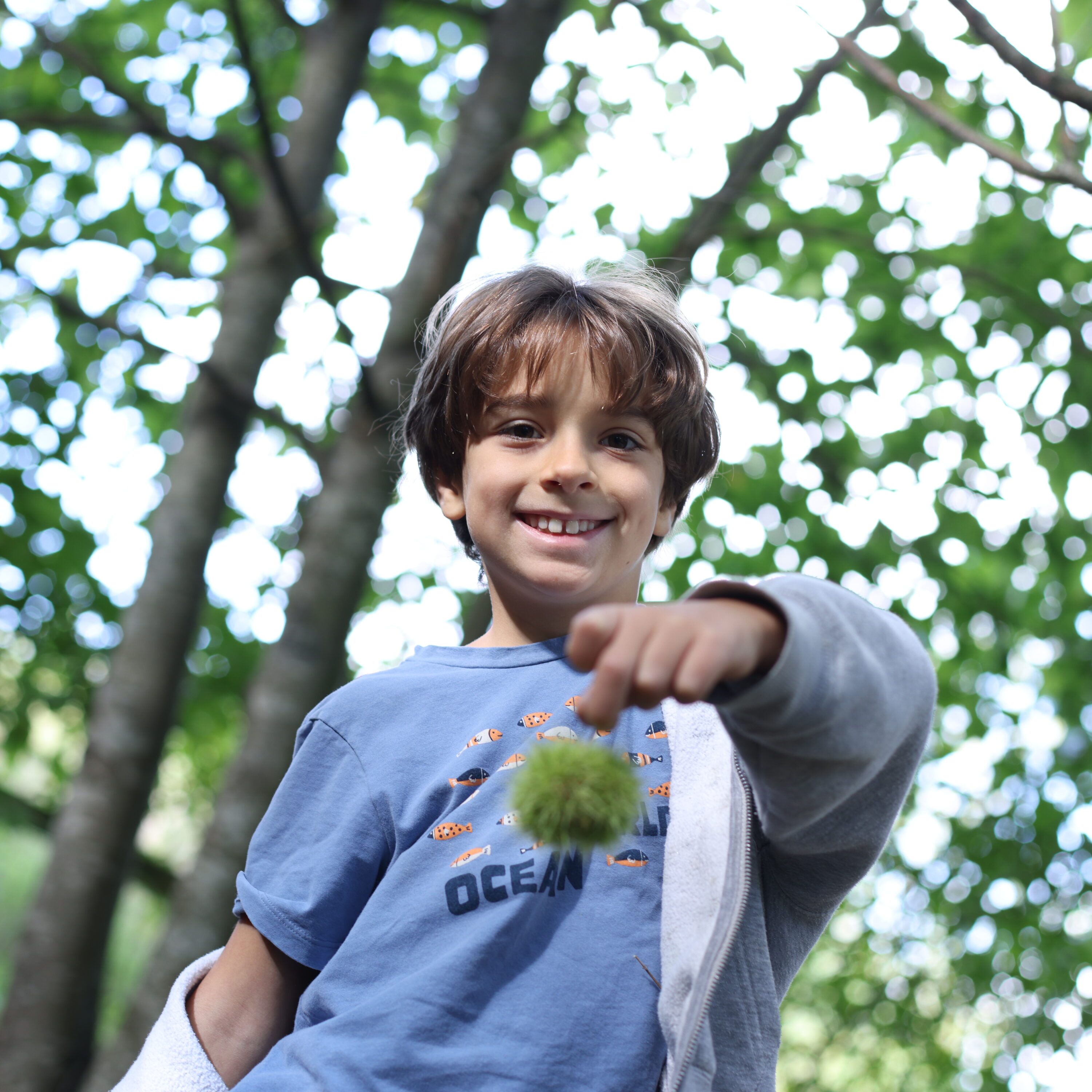 Leading provider of specialist education and residential care.