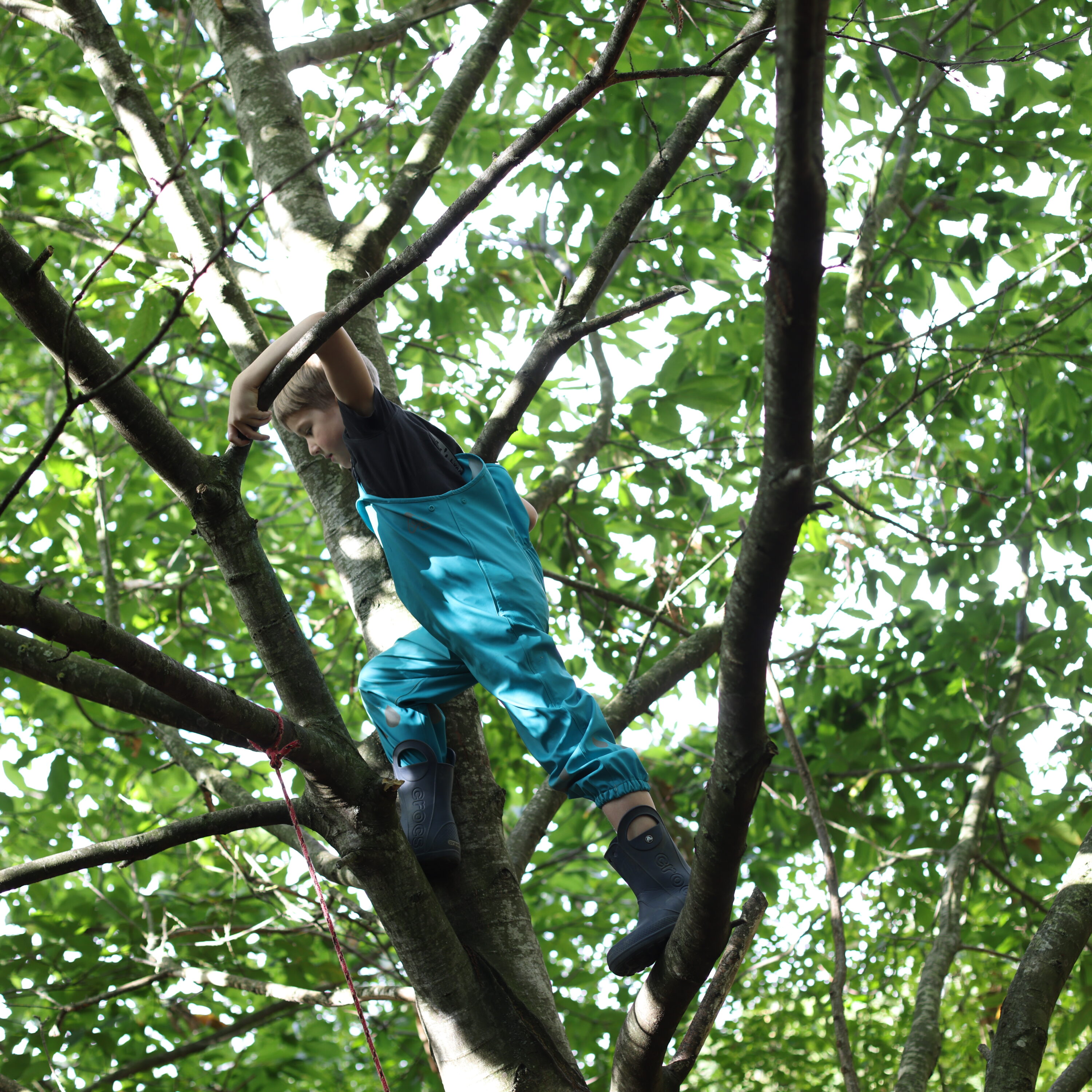 Leading provider of specialist education and residential care.