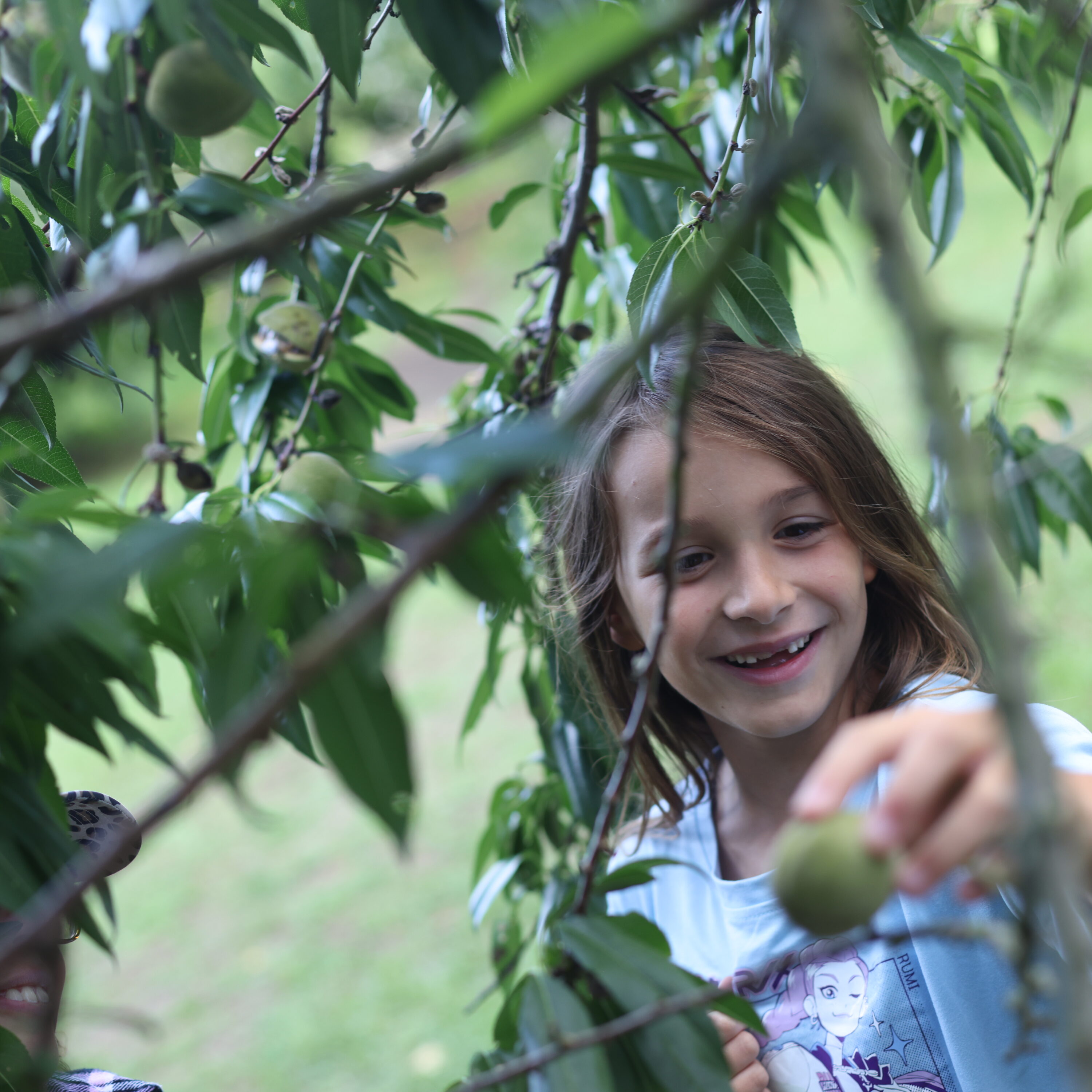 Leading provider of specialist education and residential care.